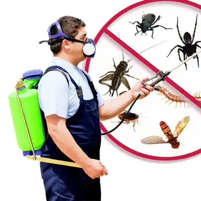 pest control Forest Oaks